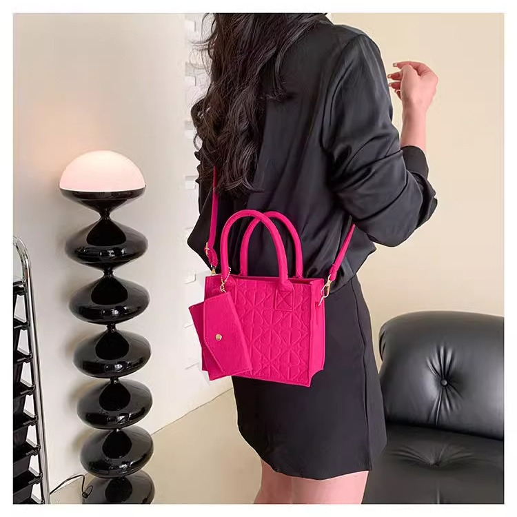 Filztasche Damen ⎜ Kleine Handtasche mit abnehmbarer Geldbörse und verstellbarem Schultergurt